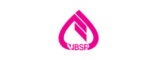 Logo VBSP